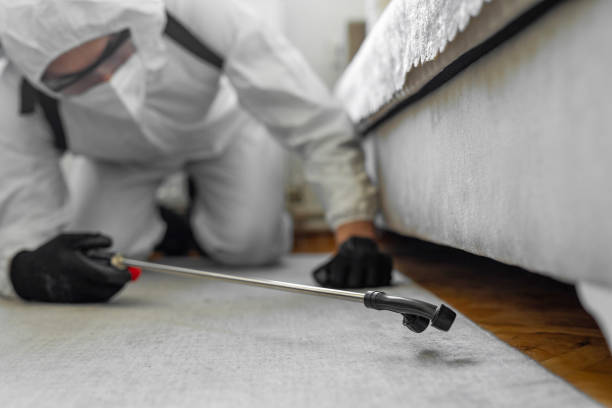 Professional Termite Control technician working in Lindsay, TX