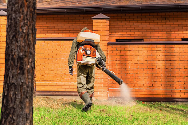 Trusted Termite Control service in Lindsay, TX - Nex Pest Control